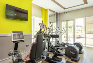 original-2051